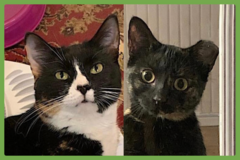  : Momma Bear and Baby Bear