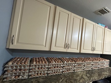 Selling with In-person Payment: Farm Fresh Eggs 