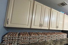 Selling with In-person Payment: Farm Fresh Eggs 