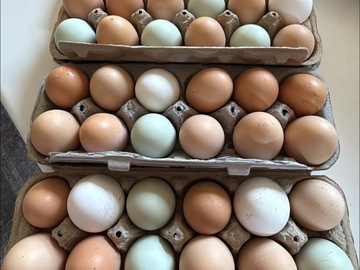 Selling with In-person Payment: Farm Fresh Eggs