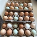 Selling with In-person Payment: Farm Fresh Eggs