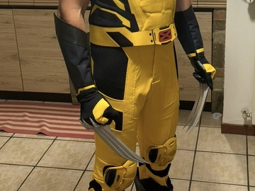 Selling with online payment: Wolverine complete suit