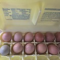 Selling with online payment: Farm Fresh Mixed Flock Eggs (Olive Egger, Americana & Golden Lace