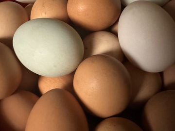 Selling with In-person Payment: Fresh Eggs