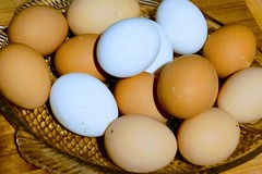 Selling with In-person Payment: Fresh eggs 