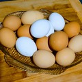 Selling with In-person Payment: Fresh eggs 