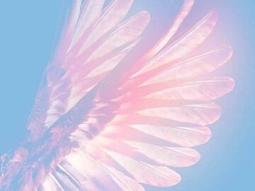 Selling: What do I need to take further in my life now? FIND OUT