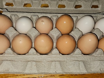 Selling with In-person Payment: Backyard raised Chicken eggs