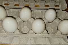 Selling with In-person Payment: Backyard raised duck eggs