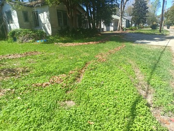 Daily Rentals: Baton Rouge LA,  St Patrick's Wearing Of The Green Parade Parking