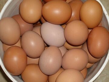 Selling with In-person Payment: Fresh Chicken Eggs on Deer Path Road