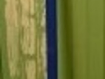 À vendre: Perche Télescopique