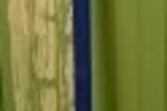 À vendre: Perche Télescopique