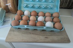 Selling with In-person Payment: Eggs.