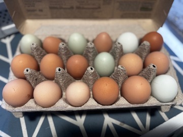 Selling with In-person Payment: Fresh multi colored eggs 