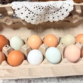 Selling with online payment: Backyard Fresh Eggs