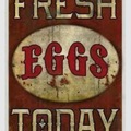 Selling with online payment: W. Ft. Worth - Fresh Eggs Daily