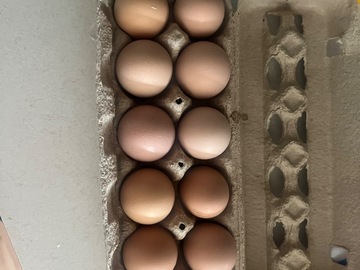 Selling with In-person Payment: Fresh Farm eggs 