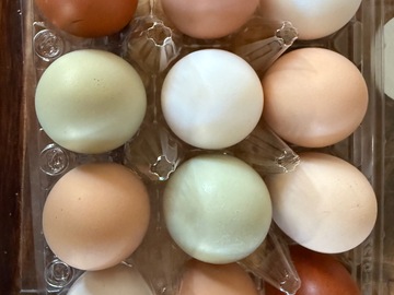 Selling with In-person Payment: Farm fresh eggs 
