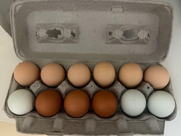 Selling with In-person Payment: Organic soy free & free range eggs 