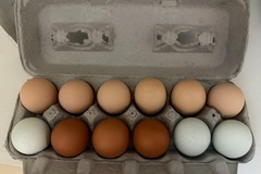Selling with In-person Payment: Organic soy free & free range eggs 