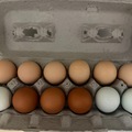 Selling with In-person Payment: Organic soy free & free range eggs 