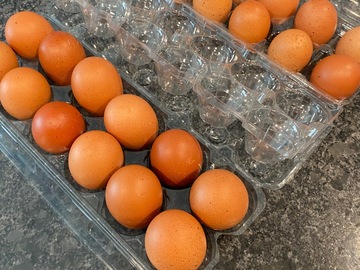 Selling with In-person Payment: Dark brown, non fertile chicken table eggs 