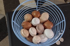 Selling with In-person Payment: hatching eggs