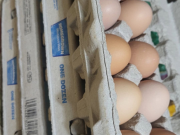 Selling with online payment: Organic chicken eggs
