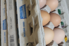 Selling with online payment: Organic chicken eggs