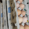 Selling with online payment: Organic chicken eggs