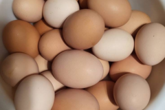Selling with online payment: Organic chicken eggs