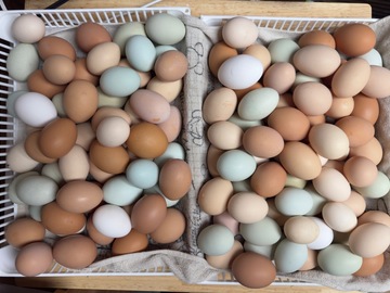 Selling with In-person Payment: Self serve farm stand 