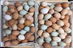 Selling with In-person Payment: Self serve farm stand 