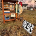 Selling with In-person Payment: Self serve farm stand 