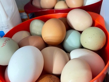 Selling with In-person Payment: Farm fresh rainbow baskets 
