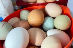 Selling with In-person Payment: Farm fresh rainbow baskets 