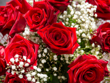 Selling: `Deep Dive Silent Guy Love Reading