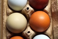 Selling with In-person Payment: Free range chicken eggs