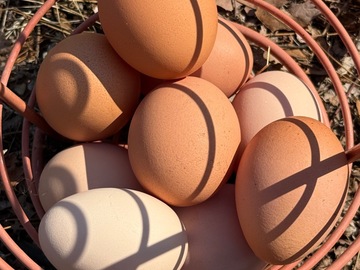 Selling with In-person Payment:   Soy Free, Free Range   