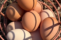 Selling with In-person Payment:   Soy Free, Free Range   