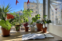 Coworking space: Tunnelmallinen jaettu työtila Herttoniemessä