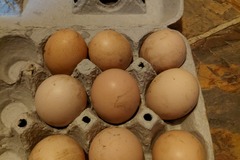 Selling with online payment: Chicken Eggs   (all different colors)