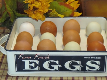 Selling with In-person Payment: Rainbow assortment of farm fresh eggs