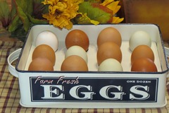 Selling with In-person Payment: Rainbow assortment of farm fresh eggs
