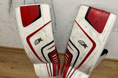 Verkaufen mit Online-Zahlungen: Goalie-Schienen Brains Optik 9.0 – 29 Zoll