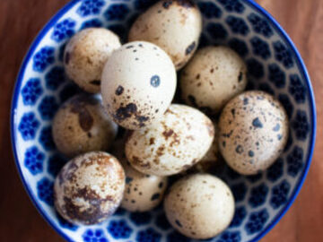 Selling with In-person Payment: Quail Fertile / Fresh Eggs