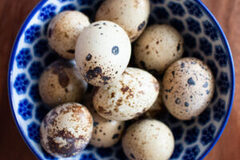 Selling with In-person Payment: Quail Fertile / Fresh Eggs