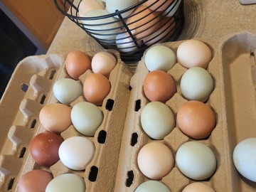 Selling with In-person Payment: Organic Colored Eggs 