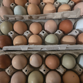 Selling with In-person Payment: Farm Fresh Eggs $4/Dozen 